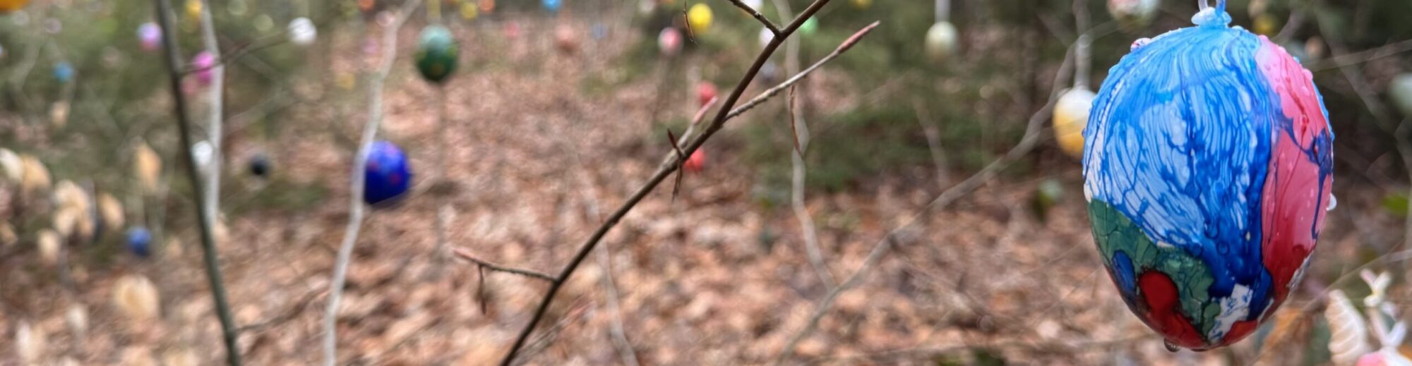 R. Hantzsch – Dresden